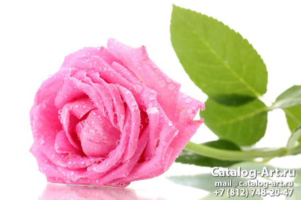 Натяжные потолки с фотопечатью - Розовые розы 74